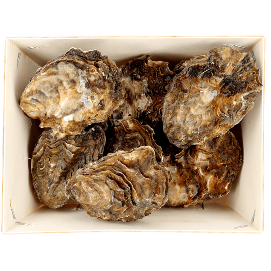 Foto van Premier Zeeuwse oesters mandje op witte achtergrond