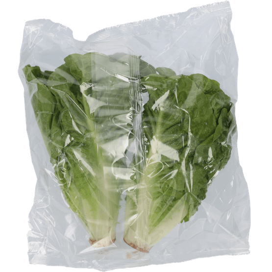 Foto van 1 de Beste Mini romaine op witte achtergrond