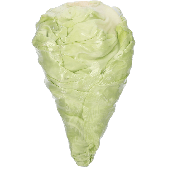 Foto van 1 de Beste Spitskool op witte achtergrond