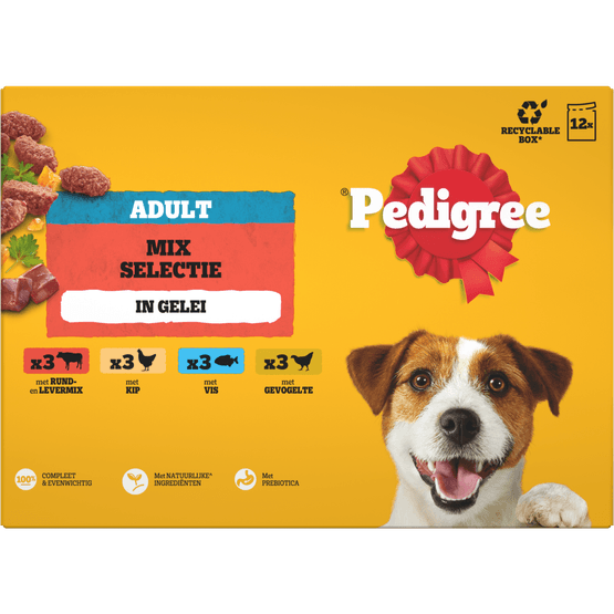 Foto van Pedigree Hondenvoer adult fav. pouch 12st op witte achtergrond