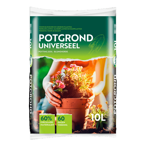 Foto van Bas Van Buuren Potgrond op witte achtergrond