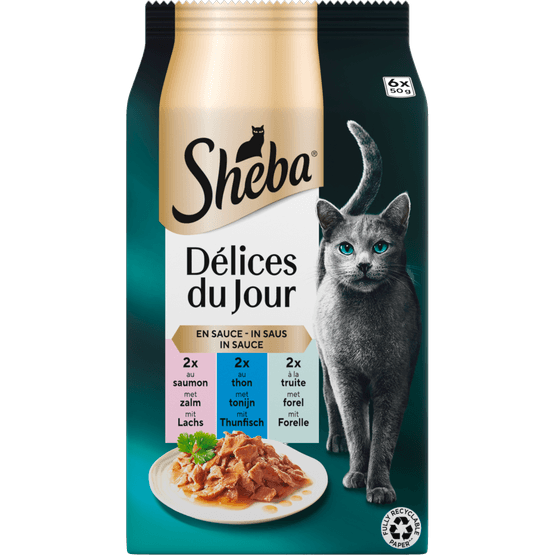 Foto van Sheba Kattenvoer delices du jour vis 6st op witte achtergrond