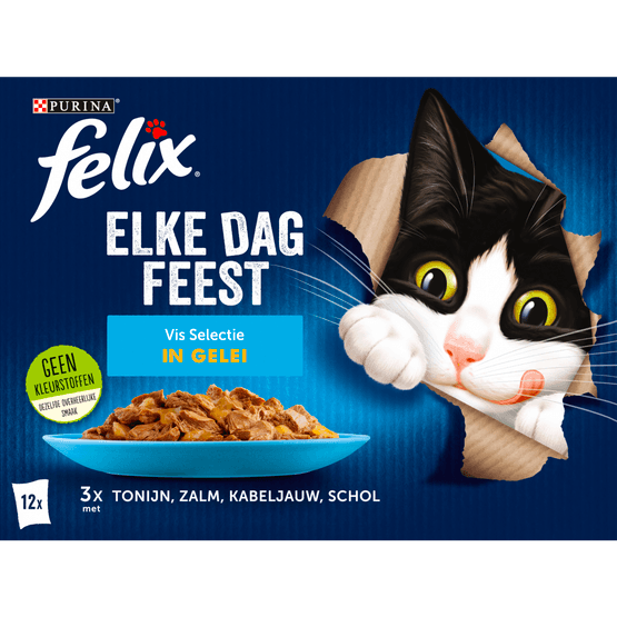Foto van Felix Kattenvoer elke dag feest vis selectie in gelei op witte achtergrond