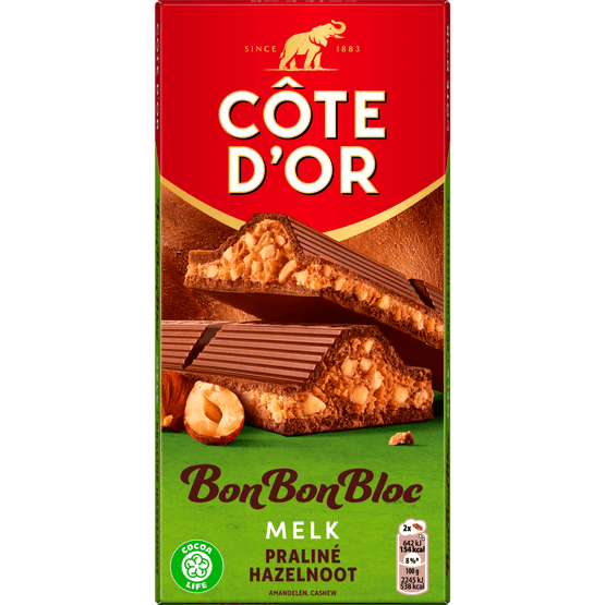 Foto van Côte d'Or Bonbonbloc praline melk noten op witte achtergrond