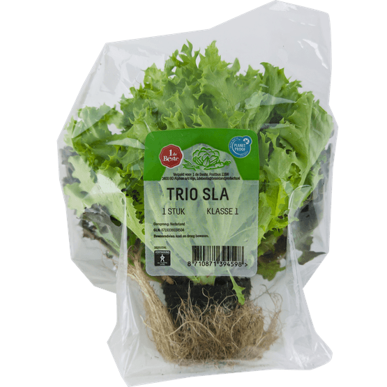 Foto van 1 de Beste Salatrio op witte achtergrond