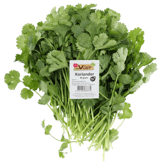 Foto van Koriander op witte achtergrond