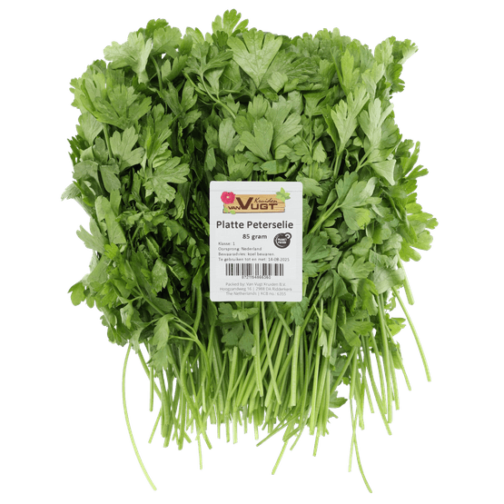 Foto van Platte peterselie op witte achtergrond