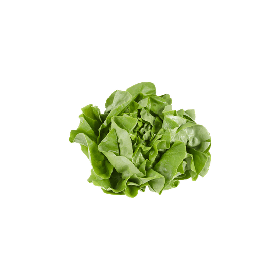 Foto van 1 de Beste Kropsla op witte achtergrond