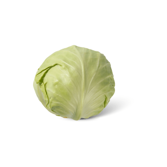 Foto van Witte kool op witte achtergrond