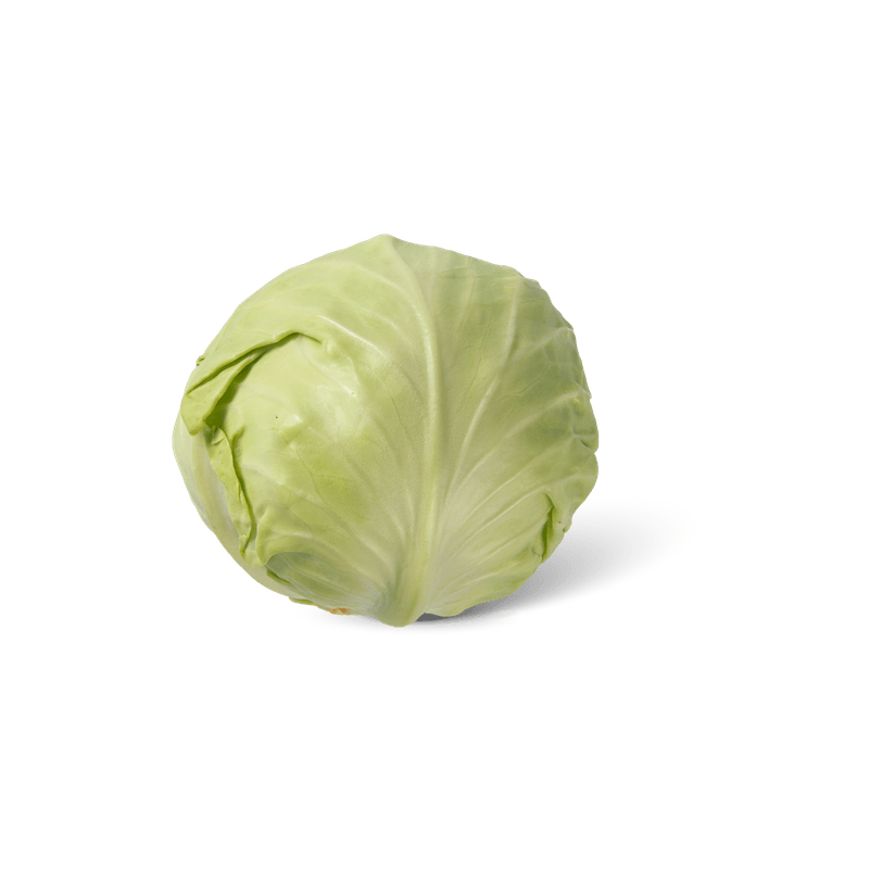 Witte kool