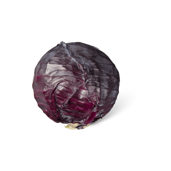 Foto van Rode kool op witte achtergrond