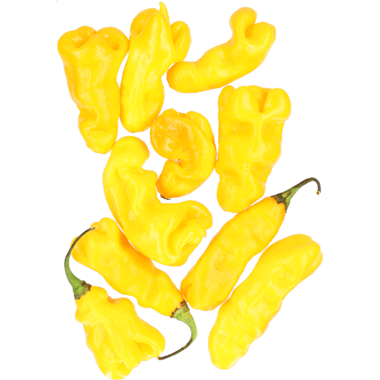 Foto van Madame jeanet op witte achtergrond