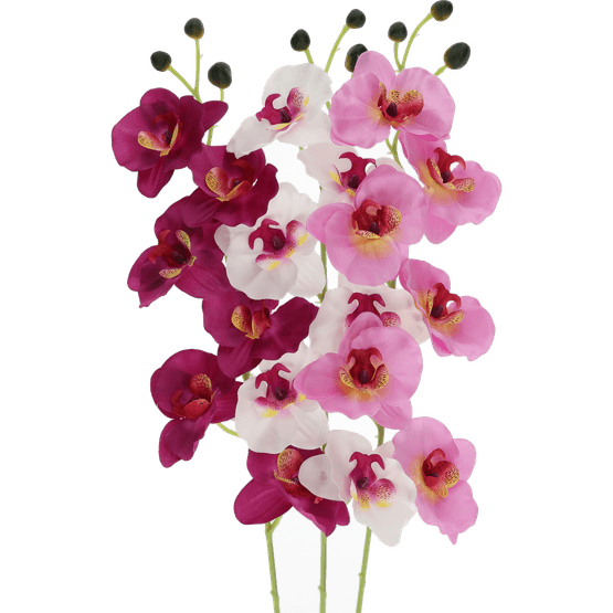Foto van Kunstbloem orchidee 78cm op witte achtergrond