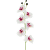 Thumbnail van variant Kunstbloem orchidee 78cm