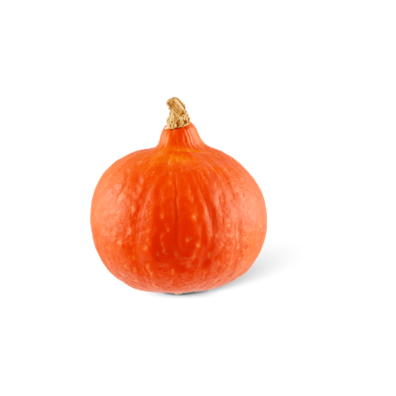 Foto van 1 de Beste Oranje pompoen op witte achtergrond