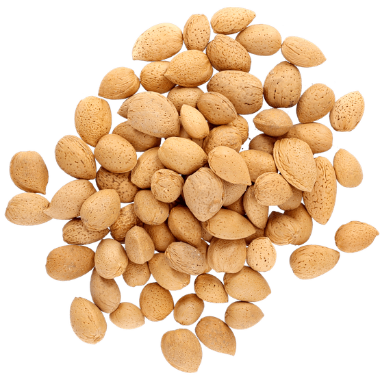 Foto van Amandelen in dop op witte achtergrond