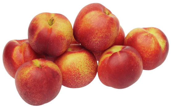 Foto van Nectarines verpakt op witte achtergrond