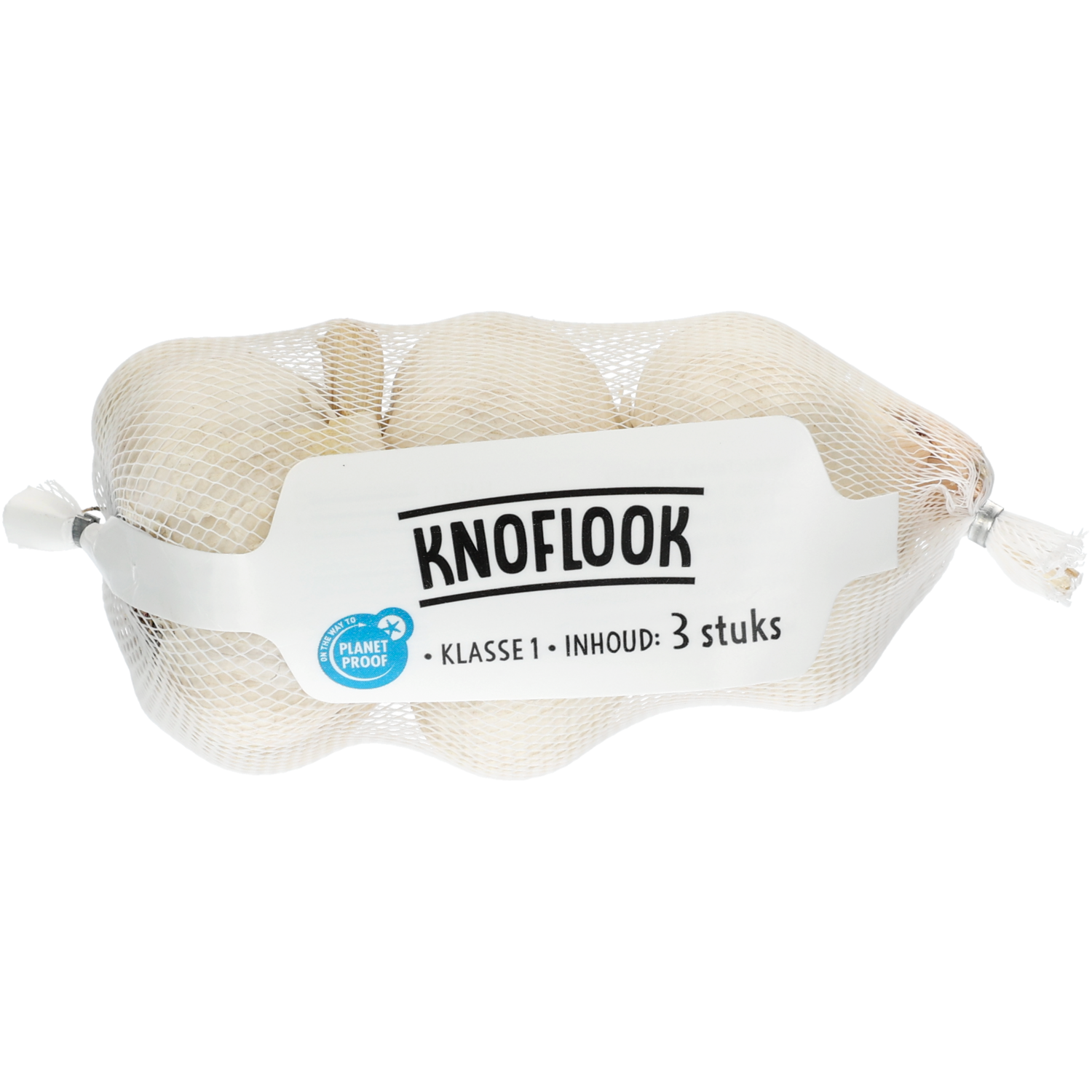 Knoflook