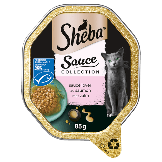 Foto van Sheba Sauce lover zalm op witte achtergrond