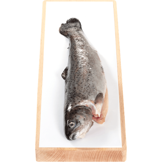 Foto van Hele forel op witte achtergrond