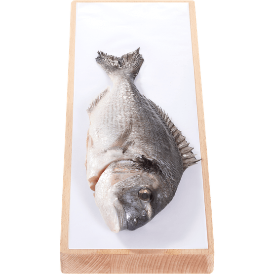 Foto van Hele dorade op witte achtergrond