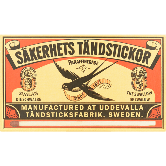 Foto van Zwaluw Lucifers lang op witte achtergrond