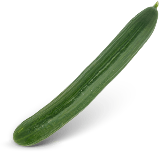 Foto van Komkommer op witte achtergrond