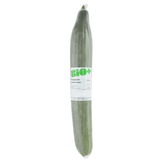 Foto van Bio+ Biologische komkommer op witte achtergrond