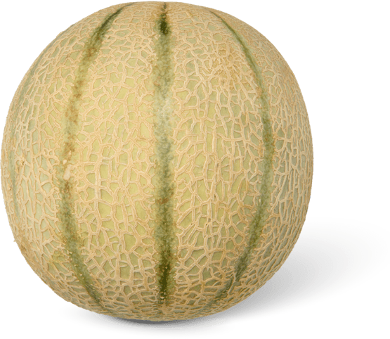 Foto van Cantaloupe meloen op witte achtergrond