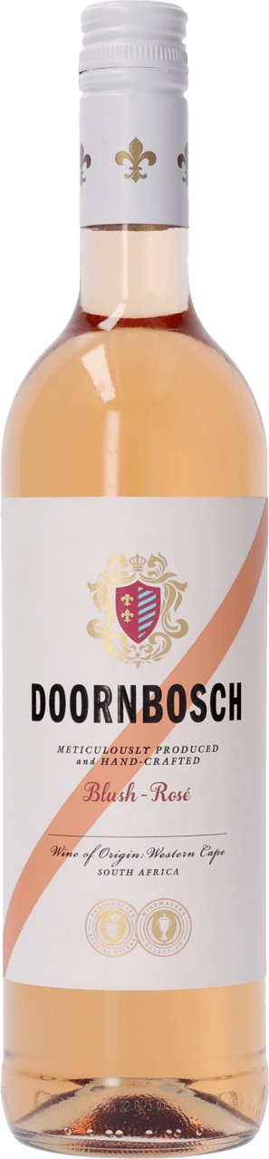 Foto van Doornbosch Rose op witte achtergrond