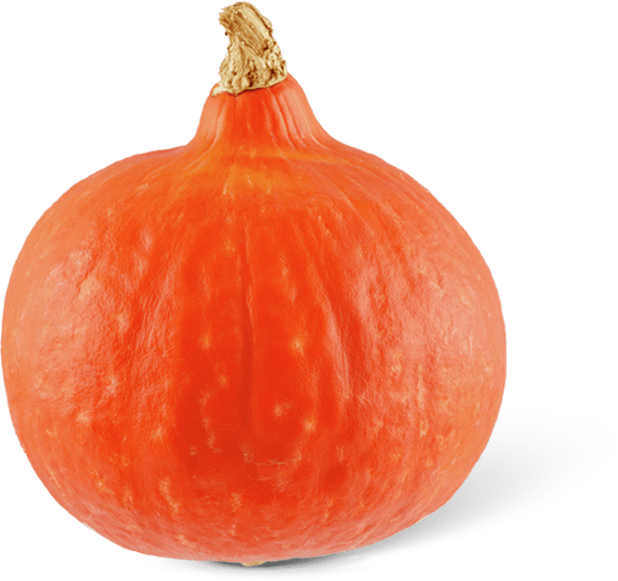 Foto van Oranje pompoen Holland op witte achtergrond