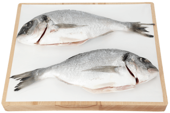 Foto van SEA FRESH Dorade 2 st. op witte achtergrond