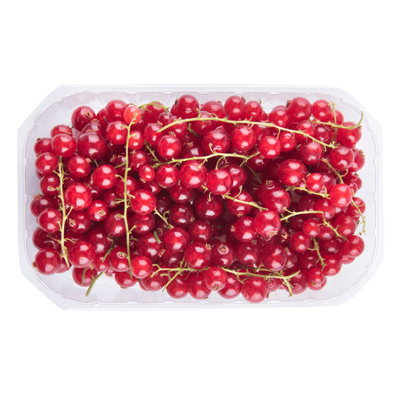 Foto van Rode bessen op witte achtergrond