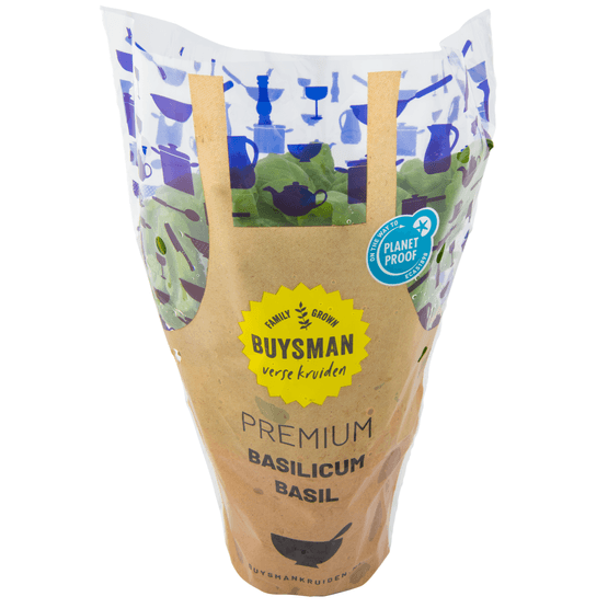 Foto van Basilicum grote pot op witte achtergrond