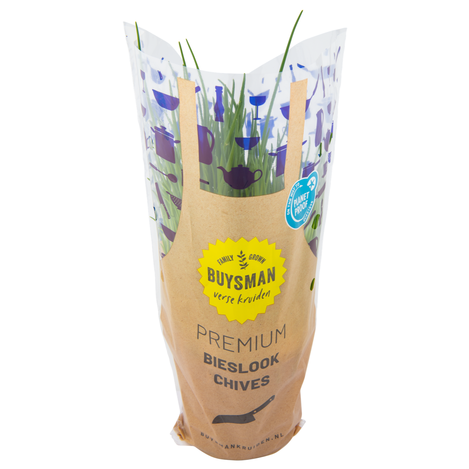 Bieslook grote pot