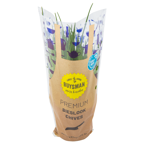 Foto van Bieslook grote pot op witte achtergrond