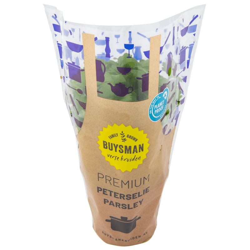 Platte peterselie grote pot