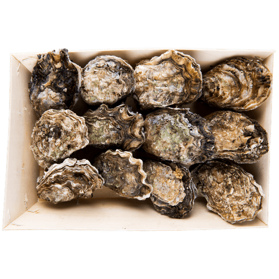 Foto van Premier Zeeuwse oesters mandje op witte achtergrond