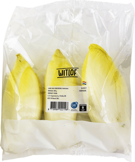 Foto van Witlof verpakt op witte achtergrond