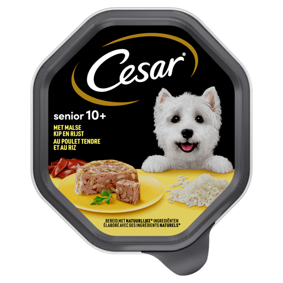 Foto van Cesar Hondenvoer senior kip-rijst gelei 10+ jaar op witte achtergrond