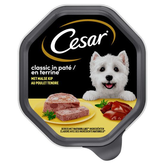 Foto van Cesar Classic hondenvoer kip op witte achtergrond