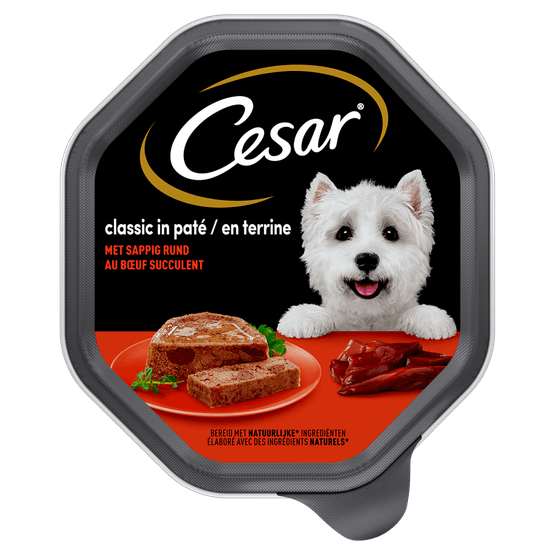 Foto van Cesar Hondenvoer classic rund op witte achtergrond