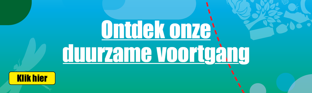 Dirk banner