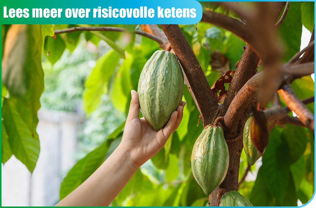 risico volle ketens