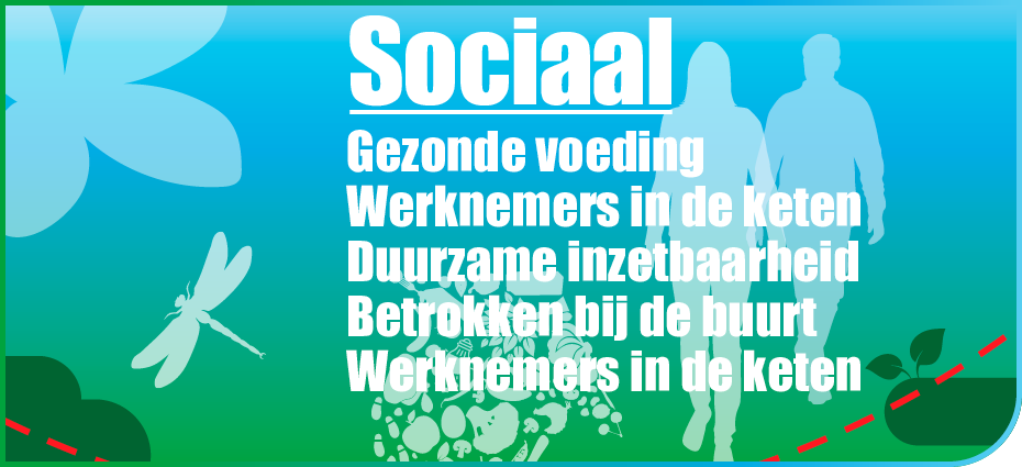 Dirk banner