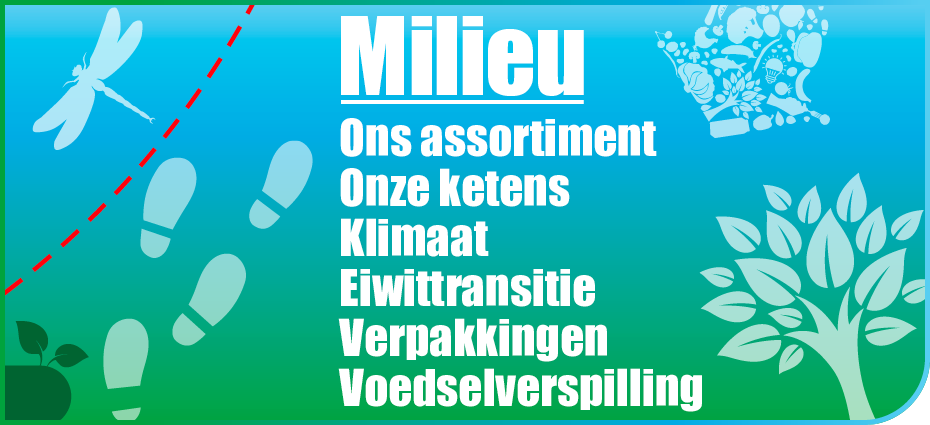 Dirk banner