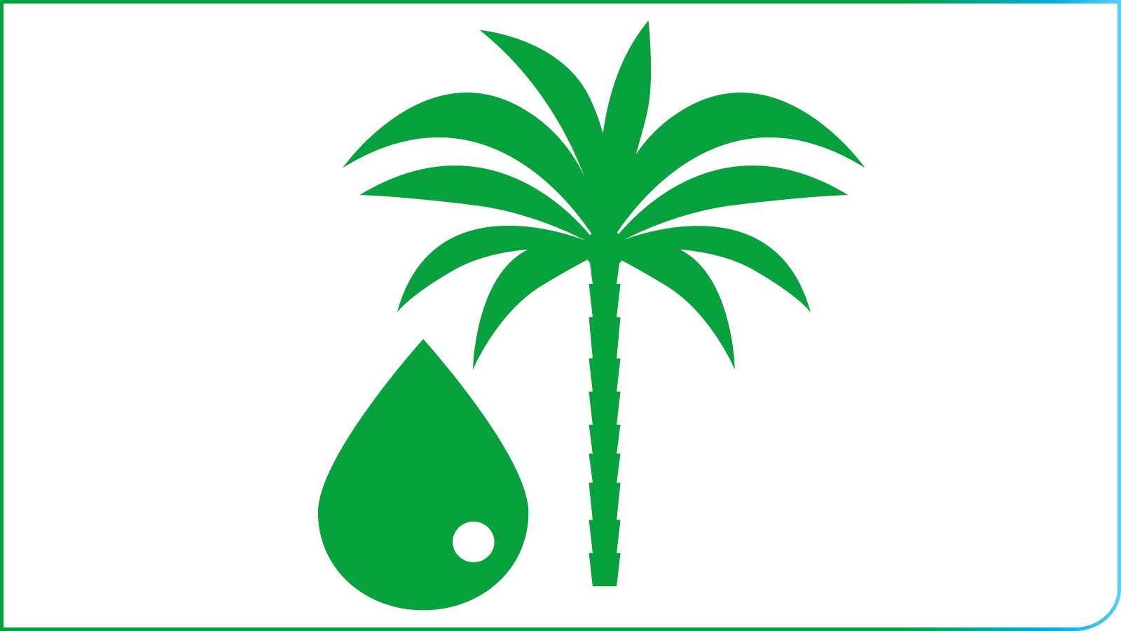 palmolie