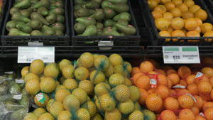 Dirk Noordwijkerhout