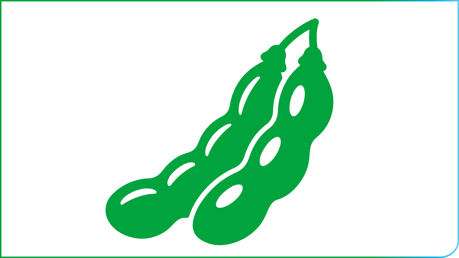 soja banner