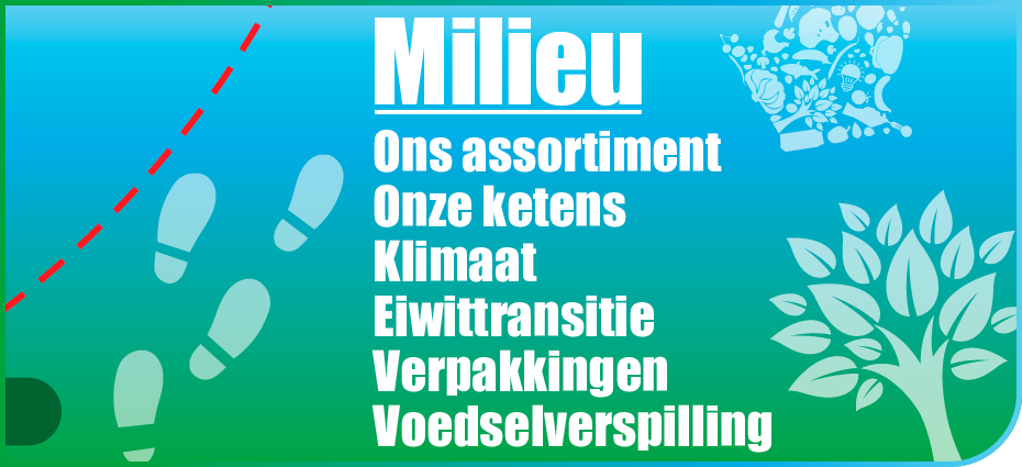 Dirk banner